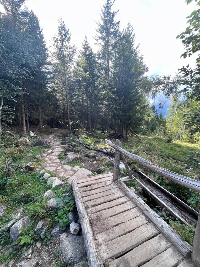 Rifugetto Lägenhet Marilleva Exteriör bild